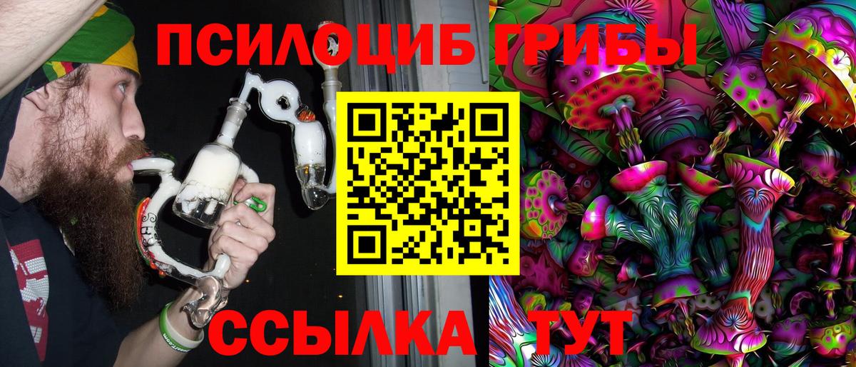 Псилоцибиновые грибы прущие грибы  даркнет сайт  Муравленко  Вход с VPN 